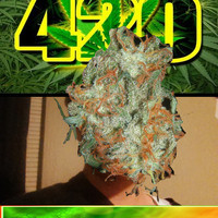 420